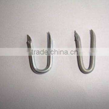 Galvanized U Shape Nails photo-6