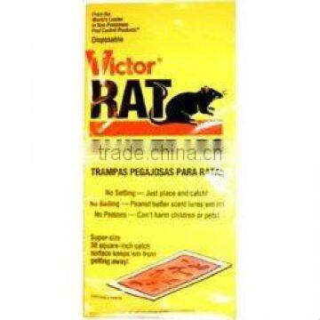 Fly/mouse Glue Board Production Line photo-2