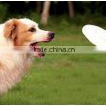 Hot Sale Custom Colorful New Pet Dog Training Silicone Flyer Disc Frisbee photo-2