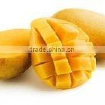 Best Quality Fresh Mango photo-1