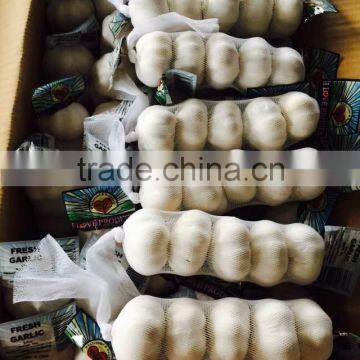 New Season Chinese Normal White Garlic photo-2