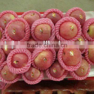 chinese qinguan apple