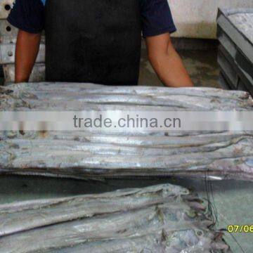 RIBBONFISH WHOLE ROUND