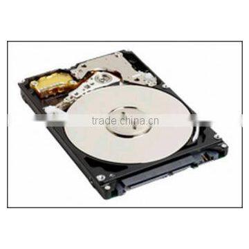 300 GB 10K RPM SAS Disk Unit