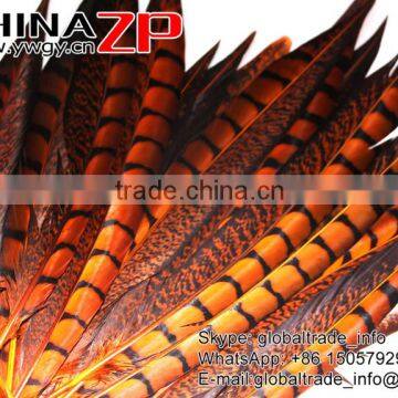CHINAZP Factory Exporting Wholesale High Quality Dyed Orange Lady Amherst Pheasant Tail Feathers for DIY Decorations photo-4