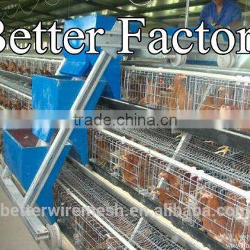 BT Factory Hot-sale automatic poultry feeding machine for chicken poultry farm