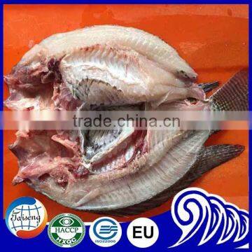 Frozen Tilapia Butterfly Filet