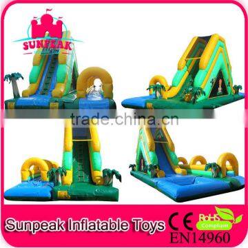 Inflatable Water Slides