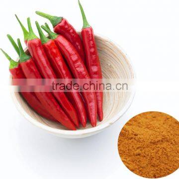 Natural Plant Extract Food and Beverage Additive Chillies pepper Extract Powder