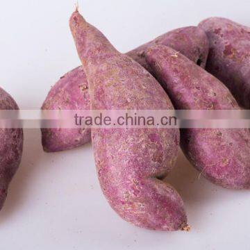 Fresh Purple Sweet Potato