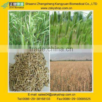 Avena Sativa P.E / oatmeal extract / oat extract for Tumoricidal effects