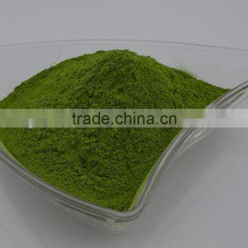 Dehydrated spinach Powder