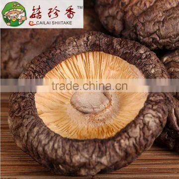 highly organic nutrition Dried shiitake mushroom with no stem