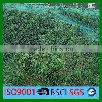 long life quality guarantee agricultural anti-bird net mesh cloth