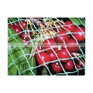 Climbing Plant Support photo-2