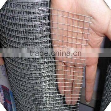 1*30m PVC Coated Welded Wire Mesh / 1*20m 1/2 Inch Galvanized Welded Wire Mesh Cheap photo-4