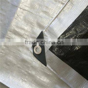 Laminated Waterproof pe Tarpaulin Vietnam photo-2