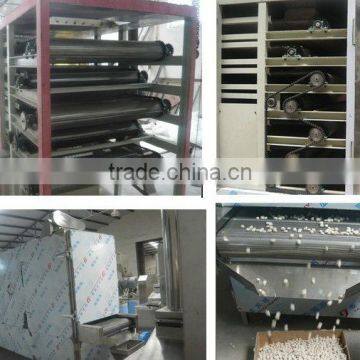 baking oven/snack dryig machine/roasting oven