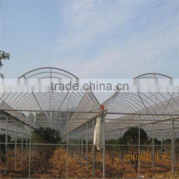 Film/Glass/PC Growing Greenhouse For Hydroponics NFT Lettuce photo-4