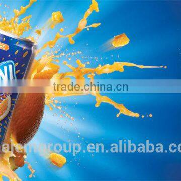 Automatic Aluminum Bottle Can Filling Machine Powerful For Beverage Juice Rani Grained photo-3