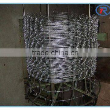 China Hot Dipped Galvanized Barbed Wire Fencing photo-4
