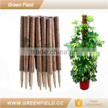 Green Field Garden Pot Flower Stakes