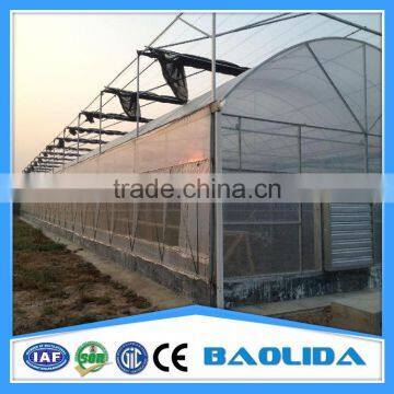 Multi-span Greenhouse Industry photo-4