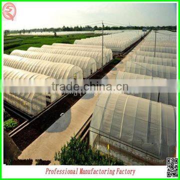 Plastic Film Commercial Greenhouse for Tomatoes With Arched Type photo-5