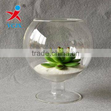 Hand Blown Clear Glass Globe Terrarium Wholesale Decoration