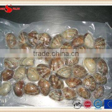 Vacuum -packed short necked clam