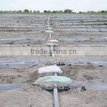 Black and Silver PE Biodegradable Mulch Film for Agriculture Greenhouse photo-4