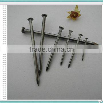 2.5" Polished Nail/Common Nail/Wire Nail