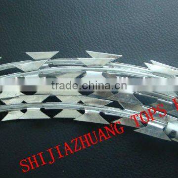 barbed wire razor wire mesh wall spike