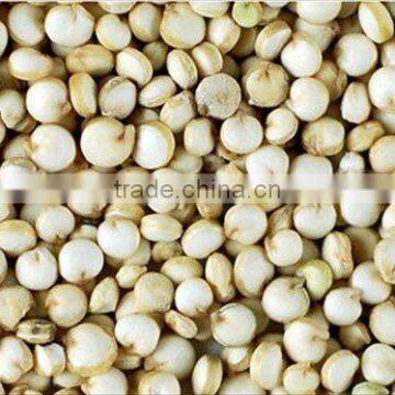 Indian Quality of White Quinoa Seed