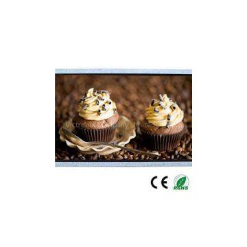 High Brightness 10.1inch 1024*600 LVDS Monitor TFT