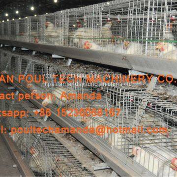 Myanmar Poultry Farm Equipment Battery Broiler Cage & Meat Chicken Cage Used in Chicken Shed