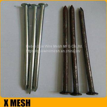 40D 5inches length galvanized common wire nails