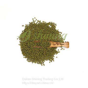 High quality Sprouting Green Vigna Beans