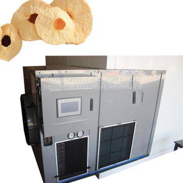 industrial fruit dryer