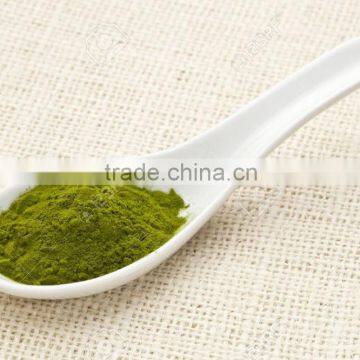 Organic Wheat Grass Powder Bulk Sales photo-3
