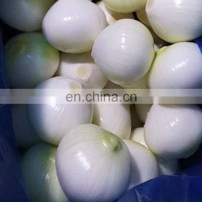 Year Round European Standard Harvest 2019 Skin Off Yellow Whole Round Fresh Onions From China photo-2