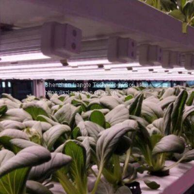 Led Grow Lights China Price Led Plant Light Manufacturer photo-5