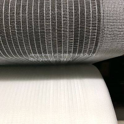 Anti Bee Net in Citrus Trees photo-3