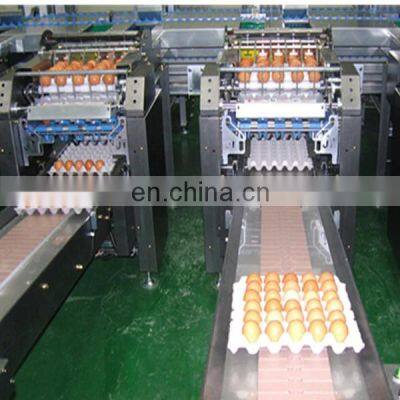 Full Automatic Egg Cleaning and Sorting Packing Line Production Line Processing Line photo-3