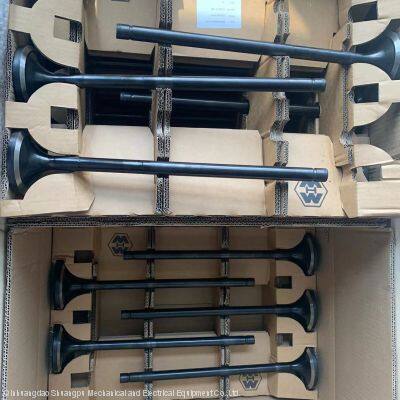 MAN6L27/38 MAN6L2738 MAN9L27/38 MAN9L2738 50502.27.274 Inlet Valve MWH photo-2