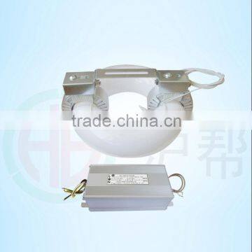 eco friendly new induction 100-300V 50W Induction Lamp light