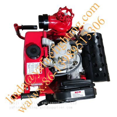 customized diesel fire pump