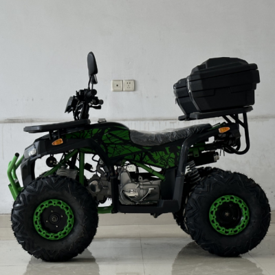 110CC 125CC ATV Quad Motorbikes for Adult