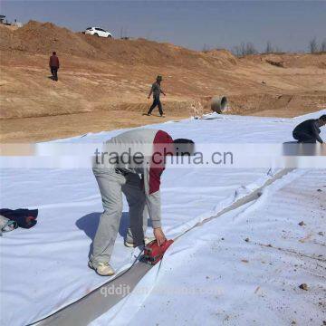 Best Sale High Quality Composite geomembrane, Compound geomembrane for road construction