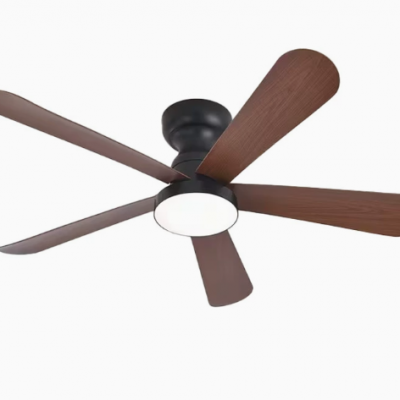 Lámpara de ventilador de cinco aspas con conversión de frecuencia programada (Wechat: 13510231336)